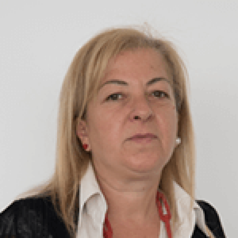 Responsabile Commerciale Responsabile Commerciale