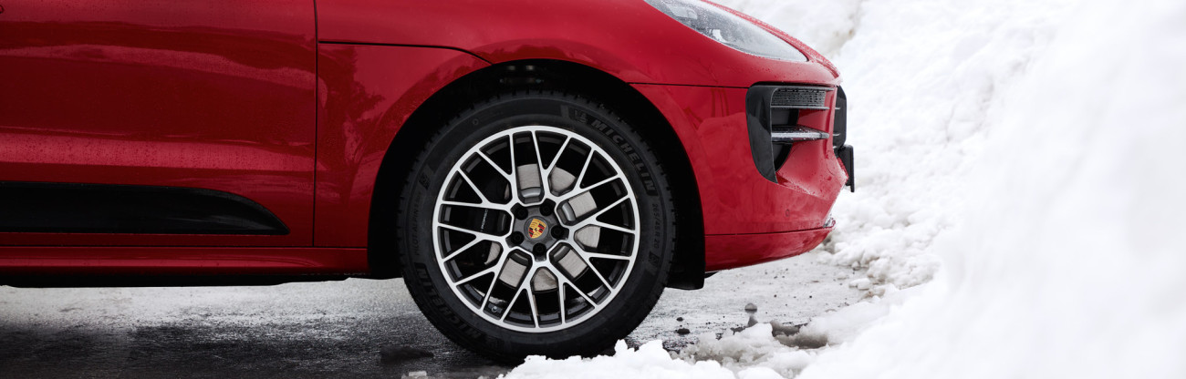 Custodia pneumatici invernali Porsche